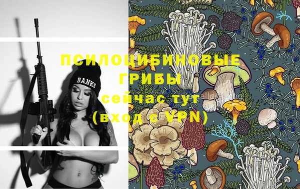 а пвп мука Абаза
