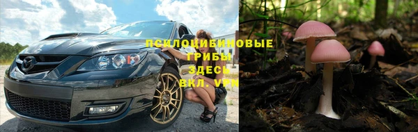 спайс Абдулино