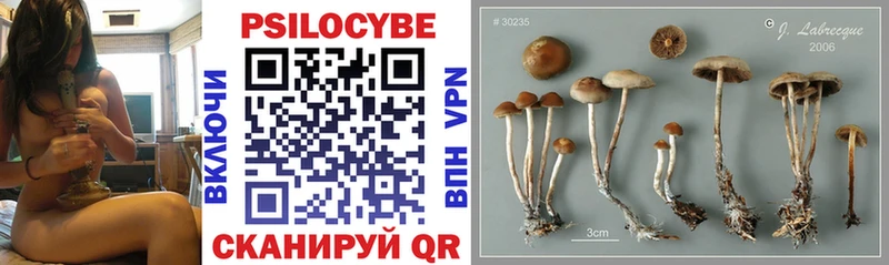 Псилоцибиновые грибы MAGIC MUSHROOMS  Прокопьевск 